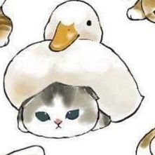 Duckcat